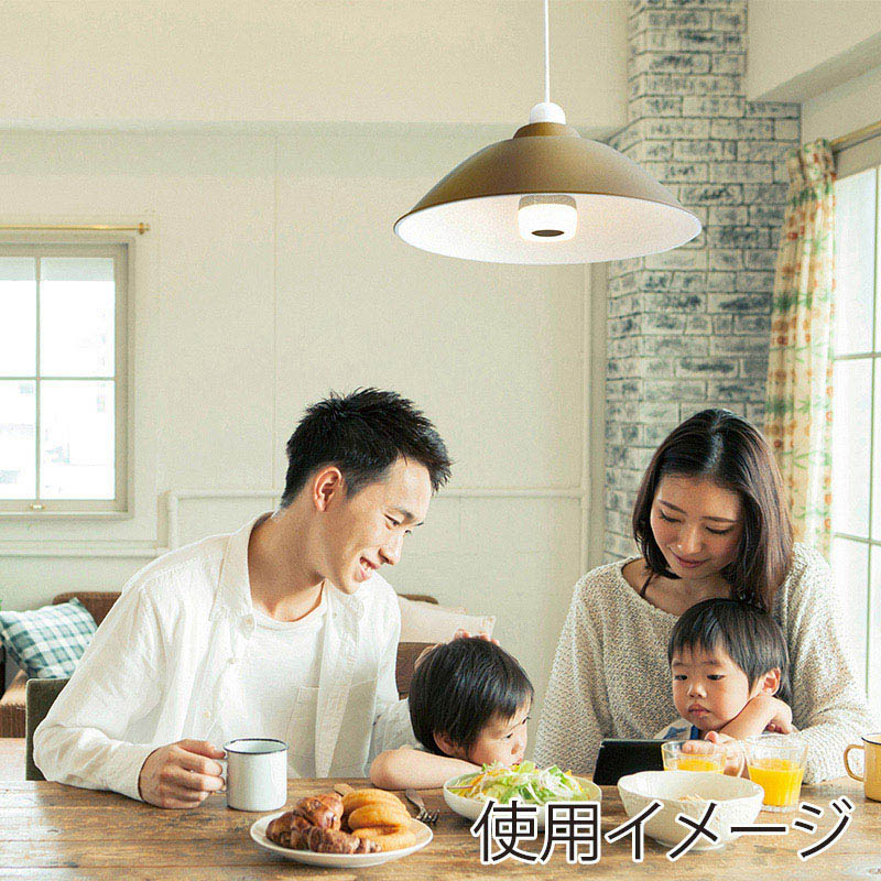 アイリスオーヤマ LEDスピーカー電球　E26口金　広配光タイプ 40形　電球色 LDF11L-G-4S 1個（ご注文単位1個）【直送品】