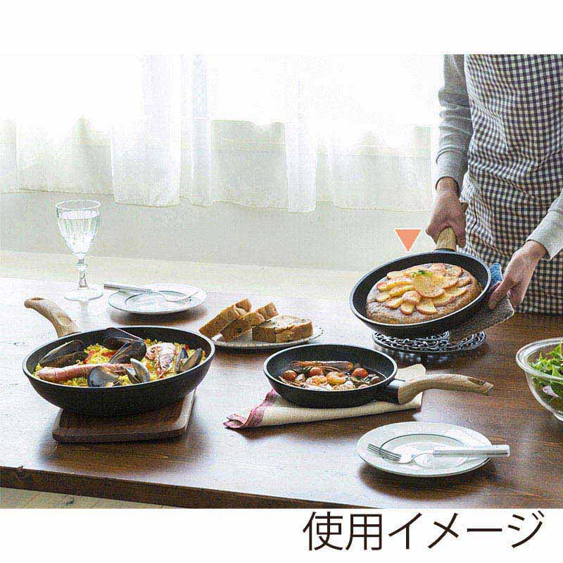 アイリスオーヤマ スキレットコートパン IH/ガス火対応 24cm ブラック SKL-24IH 1個(ご注文単位1個)【直送品】