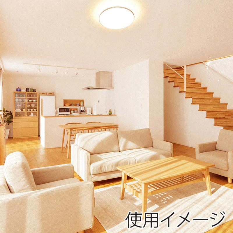 アイリスオーヤマ LEDシーリングライト メタルサーキット 14畳 モールフレーム 調光調色 CL14DL-5.1M 1台(ご注文単位1台)【直送品】