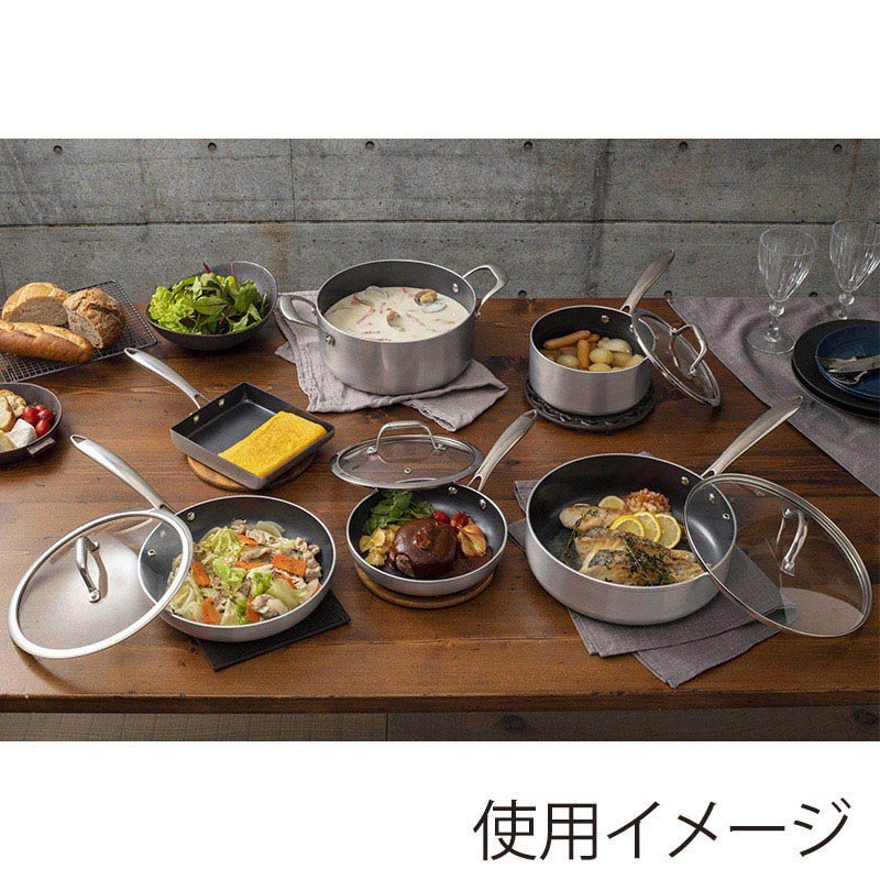 アイリスオーヤマ ダイヤモンドグレイス 10点セット IH/ガス火対応 シルバー DG-SE10 1個(ご注文単位1個)【直送品】