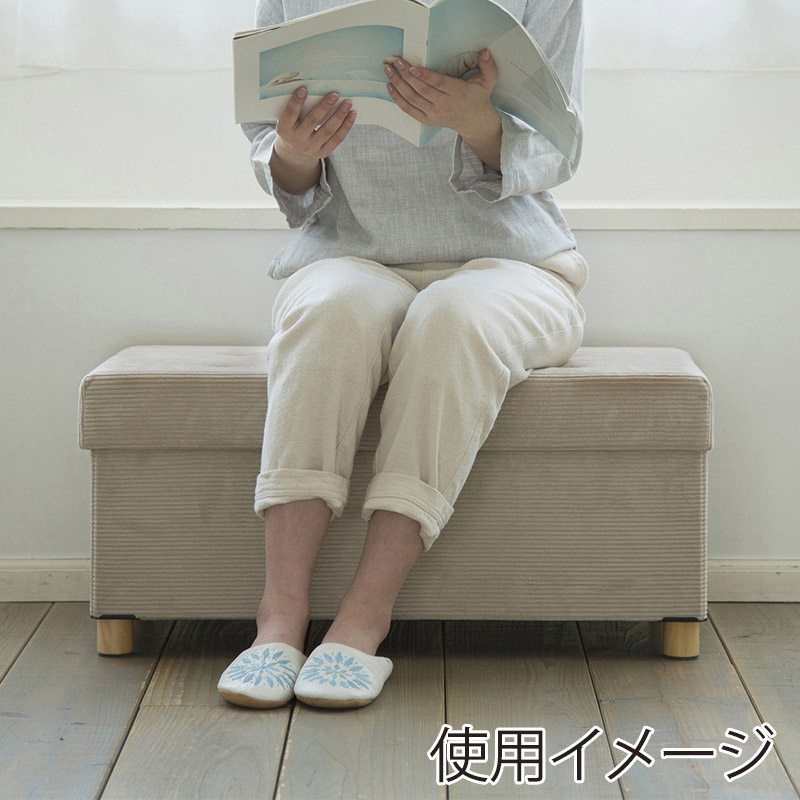 アイリスオーヤマ 脚付き収納スツール ワイド ベージュ ASSTW-76 1個(ご注文単位1個)【直送品】