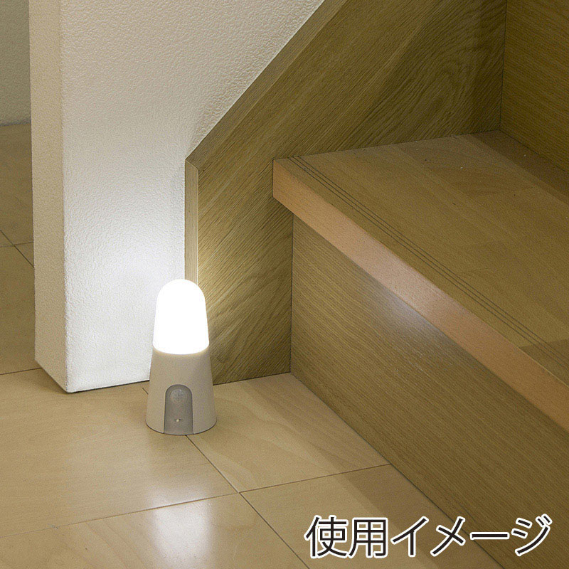 アイリスオーヤマ LEDセンサーライト　乾電池式　スタンドタイプ 昼白色　ホワイト BSL40SN-WV2 1個（ご注文単位1個）【直送品】
