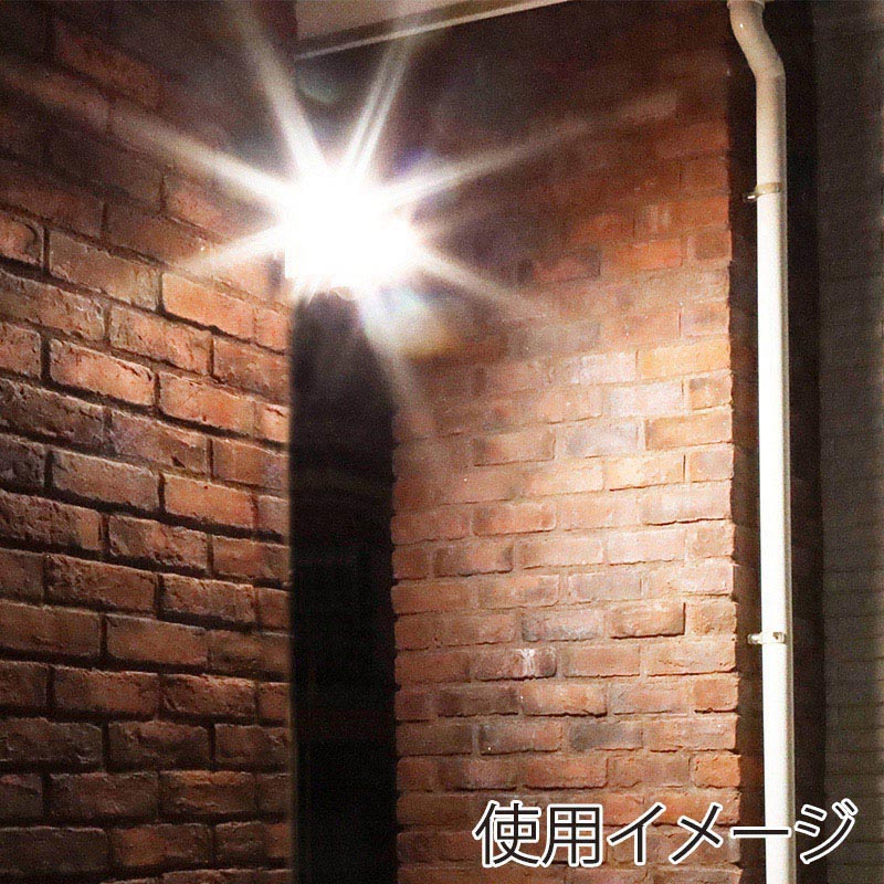 アイリスオーヤマ LED防犯センサーライト コンセント式 2400lm パールホワイト LSL-ACTN-2400 1個(ご注文単位1個)【直送品】