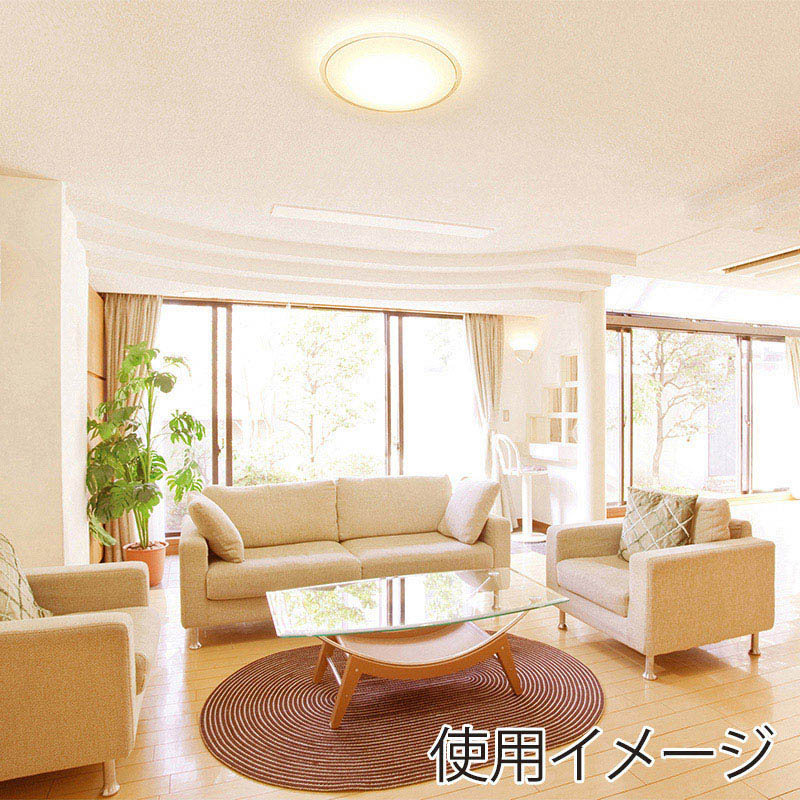 アイリスオーヤマ LEDシーリングライト 音声操作 5.11 14畳 クリアフレーム 調光調色 CL14DL-5.11CFV 1台(ご注文単位1台)【直送品】