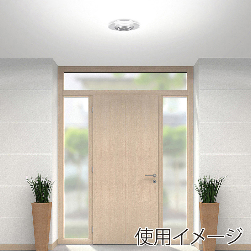 アイリスオーヤマ 小型シーリングライト 導光板 人感センサー付 750lm 昼光色 ホワイト SCL-75DMS-LGP 1個(ご注文単位1個)【直送品】