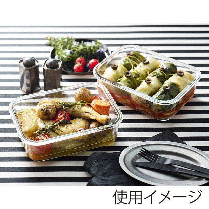 アイリスオーヤマ 耐熱ガラス容器　2点セット クリアブラック TGS-2S 1個（ご注文単位1個）【直送品】