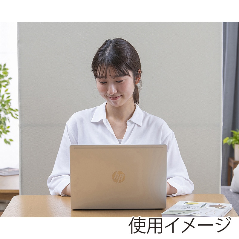 アイリスオーヤマ スクリーン 80×34×161 ベージュ SRK-1680R 1台(ご注文単位1台)【直送品】