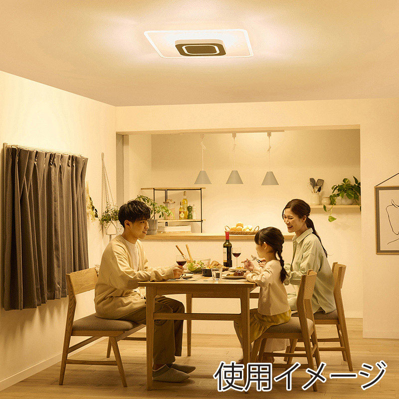 アイリスオーヤマ LEDシーリングライト パネルライト スクエア 12畳 調光調色 ホワイト CEA-A12DLPS 1台(ご注文単位1台)【直送品】