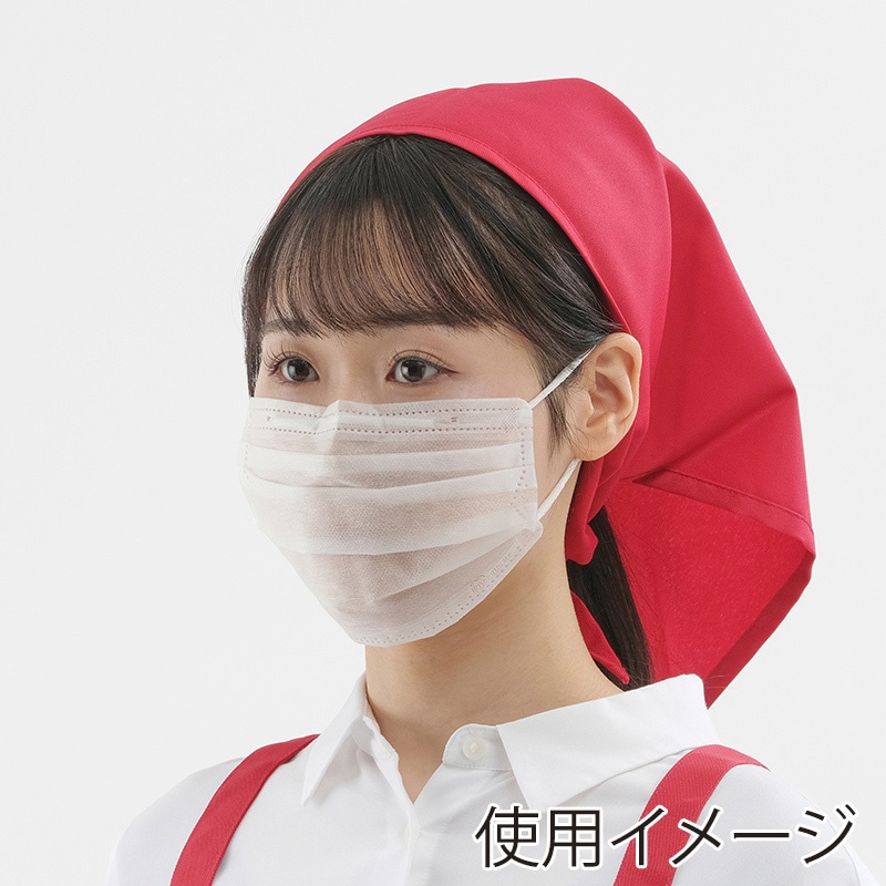 アイリスオーヤマ 2層プリーツマスク ふつうサイズ　100枚 PN-WR100L 1個（ご注文単位50個）【直送品】