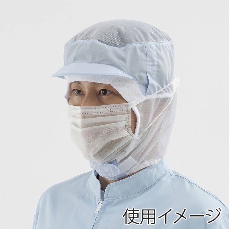 アイリスオーヤマ 2層プリーツマスク ふつうサイズ　100枚 PN-WR100L 1個（ご注文単位50個）【直送品】