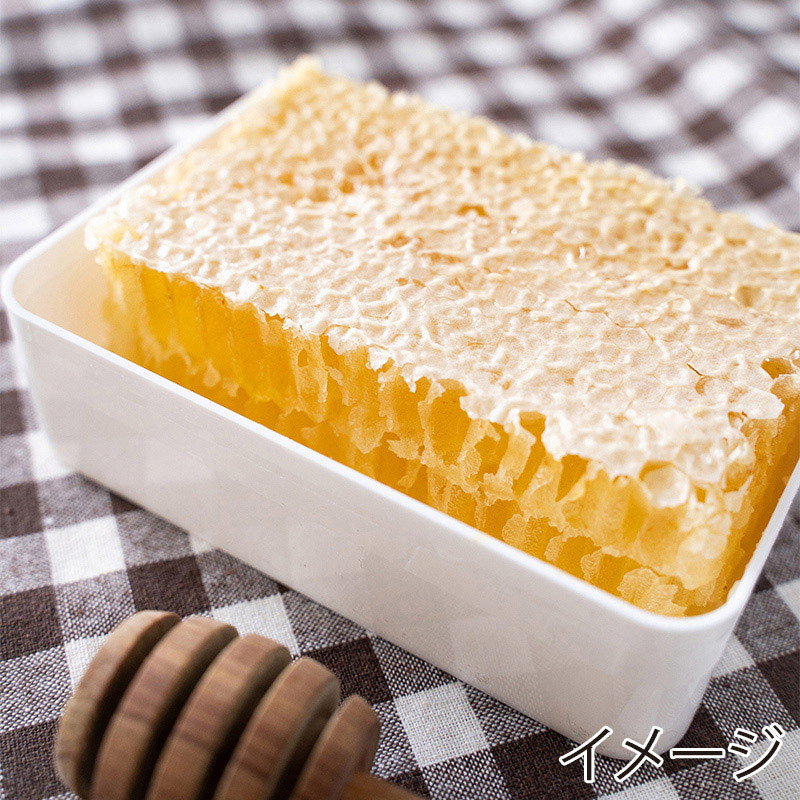 スイートハーベスト アカシアハニーコム 200g 1個※軽(ご注文単位60個)【直送品】