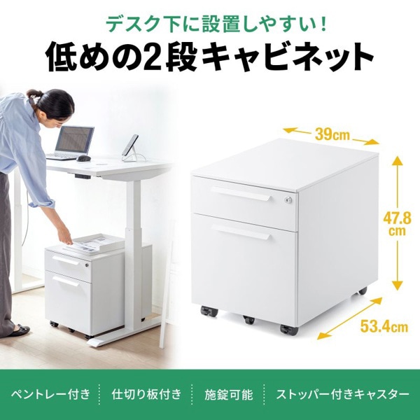 サンワサプライ キャビネット 2段 ホワイト SNW-105W 1個（ご注文単位1個）【直送品】