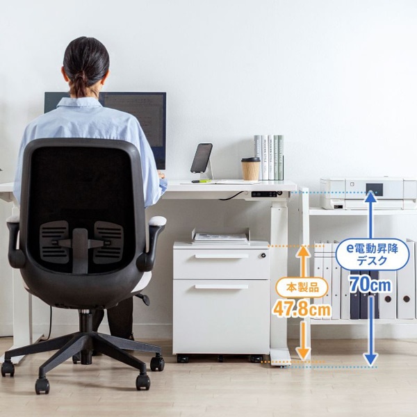 サンワサプライ キャビネット 2段 ホワイト SNW-105W 1個（ご注文単位1個）【直送品】