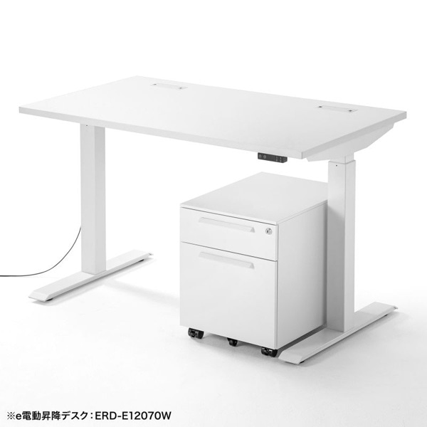 サンワサプライ キャビネット 2段 ホワイト SNW-105W 1個（ご注文単位1個）【直送品】