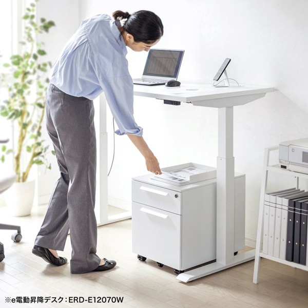 サンワサプライ キャビネット 2段 ホワイト SNW-105W 1個（ご注文単位1個）【直送品】