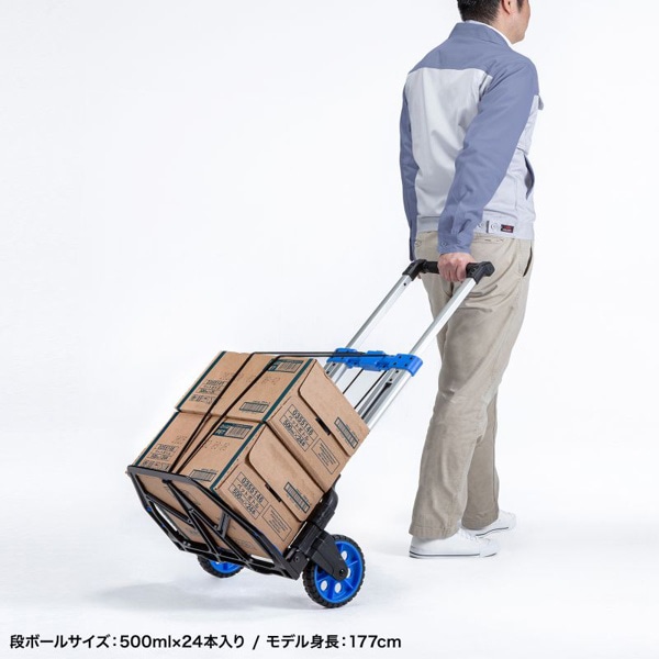 サンワサプライ 折りたたみキャリー 2輪台車 CART-FA10BK 1個（ご注文単位1個）【直送品】