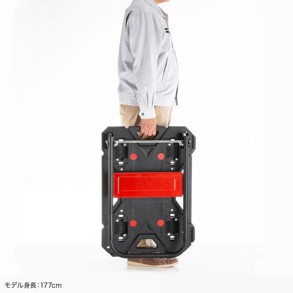 サンワサプライ 取っ手つき台車 大 CART-FA7HBK 1個（ご注文単位1個）【直送品】