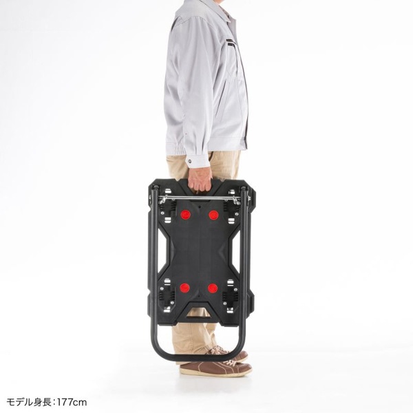 サンワサプライ 取っ手つき台車 小 CART-FA8HBK 1個（ご注文単位1個）【直送品】