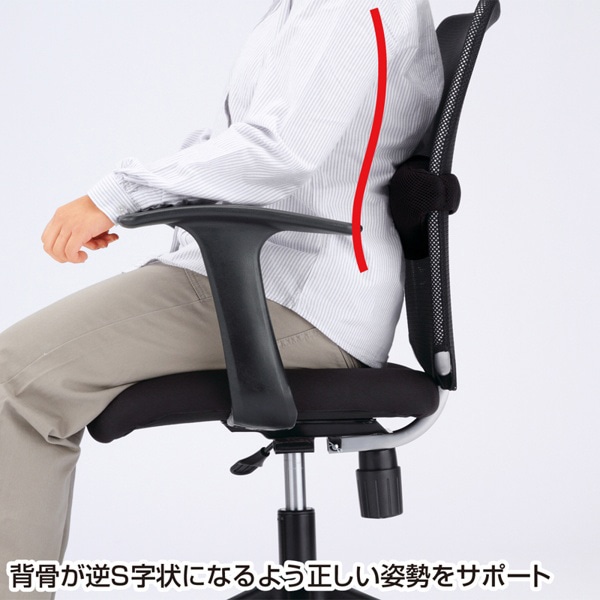 サンワサプライ チェア用ランバーサポート SNC-LUMBAR 1個（ご注文単位1個）【直送品】
