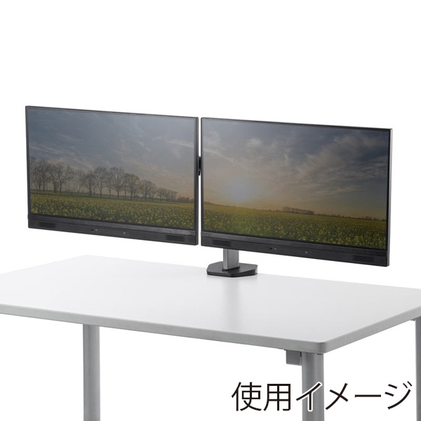 サンワサプライ 液晶モニターアーム 水平可動 2画面 CR-LA2002 1個(ご注文単位1個)【直送品】