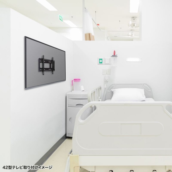 サンワサプライ 壁面固定式ディスプレイ金具 43型対応 CR-PLKG17BK 1個(ご注文単位1個)【直送品】