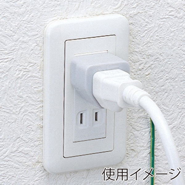 サンワサプライ 3Pプラグ→2Pプラグ変換アダプタ ノイズフィルター付 TAP-AD2N 1個(ご注文単位1個)【直送品】