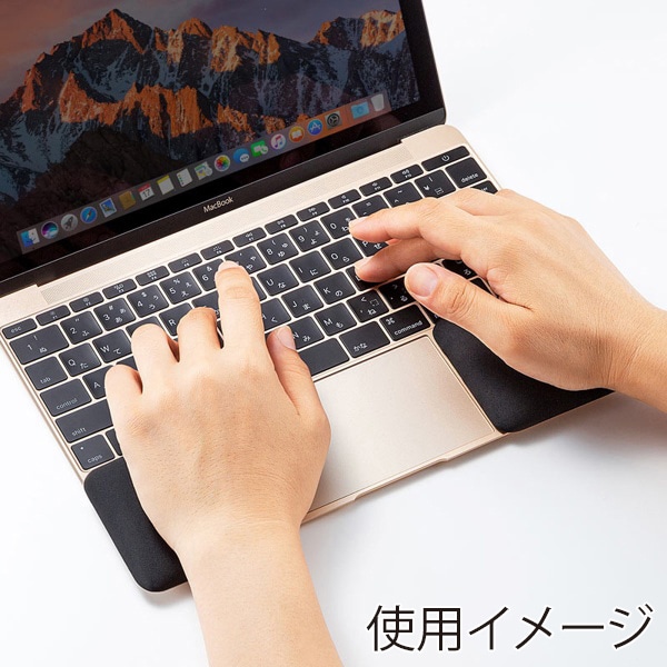 サンワサプライ 薄型リストレスト Sサイズ ブラック 2枚入 TOK-ERG6BK-S 1個(ご注文単位1個)【直送品】