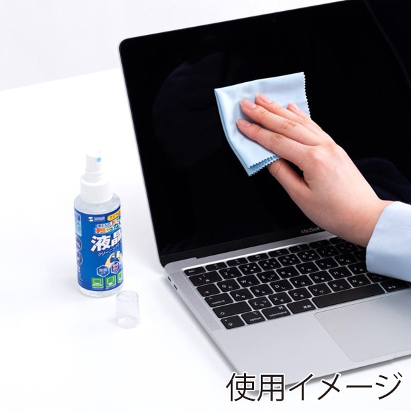 サンワサプライ クリーニングスプレー 液晶用 100ml CD-SP4 1個(ご注文単位1個)【直送品】