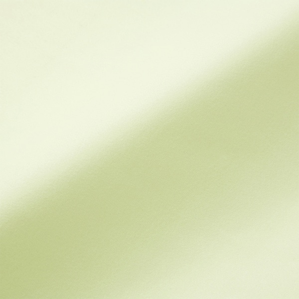 サンワサプライ マイクロファイバークリーニングクロス 200×200mm グリーン CD-CC12G 1個（ご注文単位1個）【直送品】