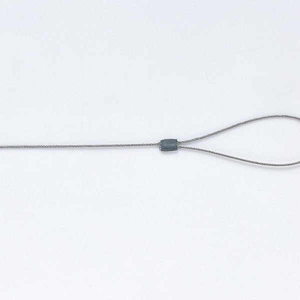 サンワサプライ ノートパソコン セキュリティキット 南京錠 SL-06K 1個(ご注文単位1個)【直送品】