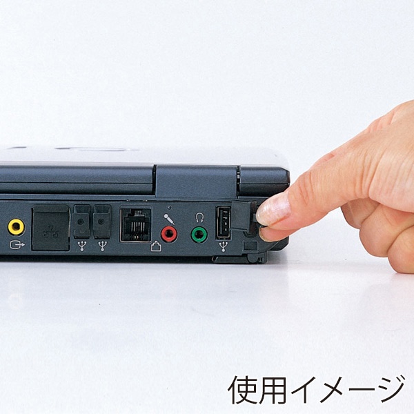 サンワサプライ USBコネクタキャップ Aコネクタ用 20個入 TK-UCAP20 1個（ご注文単位1個）【直送品】