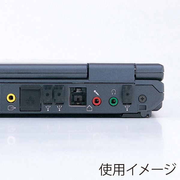 サンワサプライ USBコネクタキャップ Aコネクタ用 20個入 TK-UCAP20 1個（ご注文単位1個）【直送品】