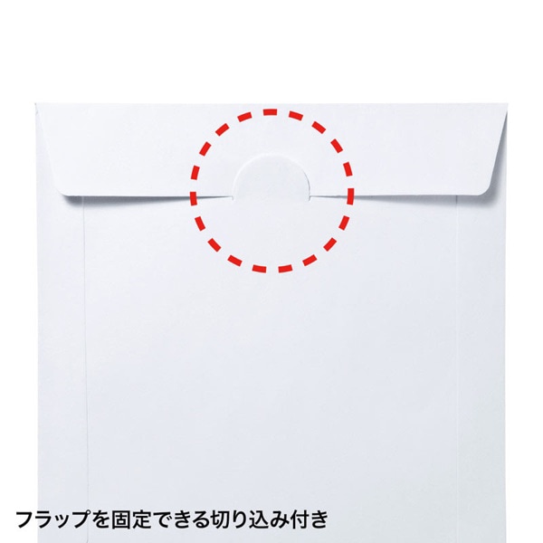 サンワサプライ DVD・CDペーパースリーブケース 窓なしタイプ 100枚入 FCD-PS100NWW 1個（ご注文単位1個）【直送品】