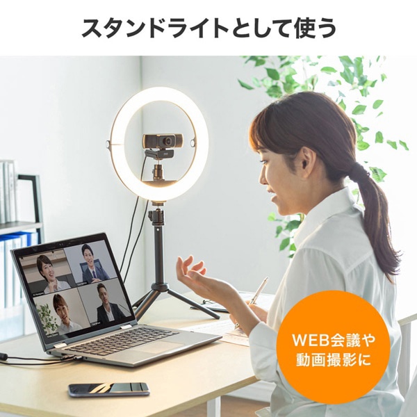 サンワサプライ WEBカメラ用LEDライト付きスタンド CMS-STN2BK 1個（ご注文単位1個）【直送品】