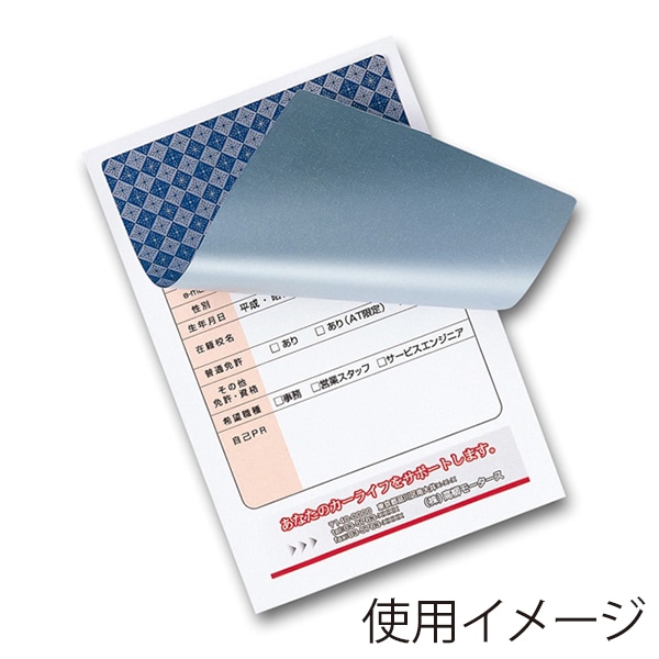 サンワサプライ 貼り直しができる目隠しシール はがき 1面付 20シート入 JP-HKSEC10 1冊（ご注文単位1冊）【直送品】