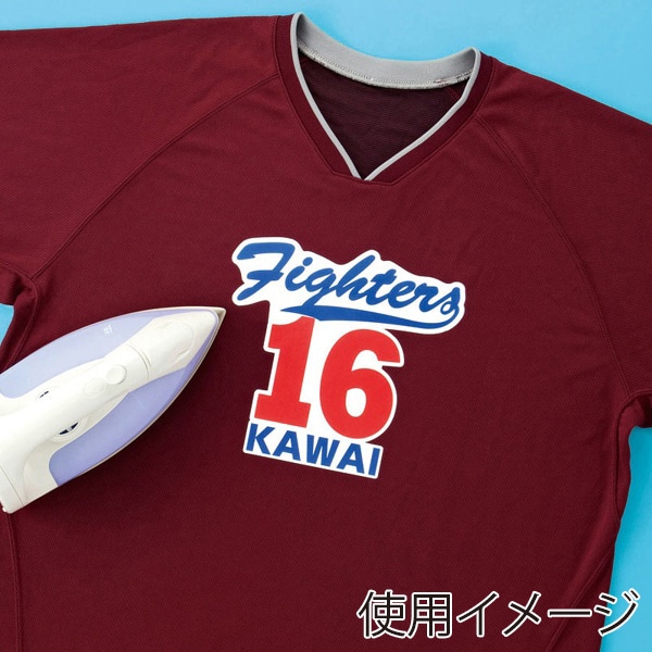 サンワサプライ インクジェット 化繊布用アイロンプリント紙 はがき 3シート入 JP-TPRTENA6 1個（ご注文単位1個）【直送品】