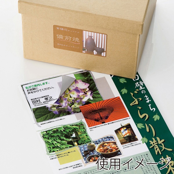 サンワサプライ 透けない宛名ラベル マルチタイプ 名刺サイズ A4 10面 20シート LB-EM24 1個（ご注文単位1個）【直送品】