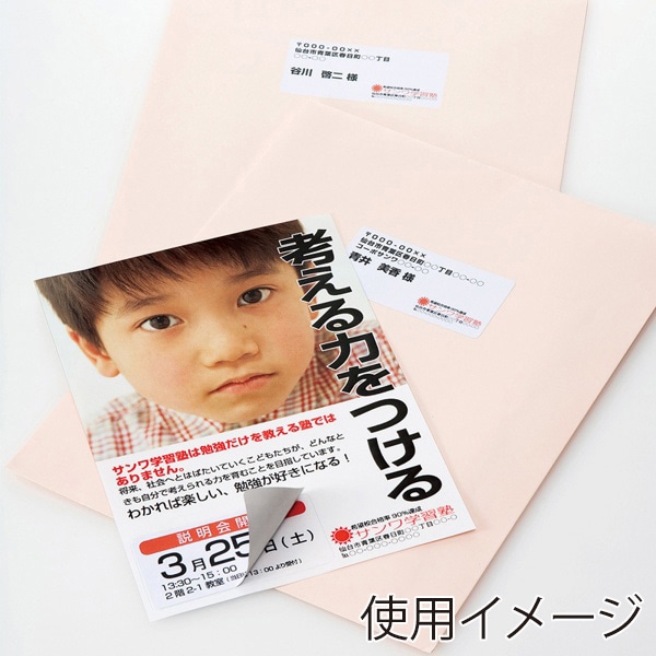 サンワサプライ 透けない宛名ラベル マルチタイプ 名刺サイズ A4 12面 20シート LB-EM25 1個（ご注文単位1個）【直送品】