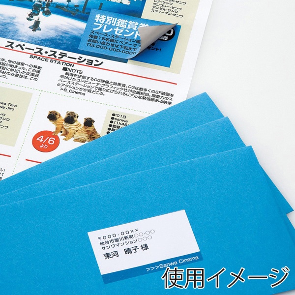 サンワサプライ 透けない宛名ラベル マルチタイプ 名刺サイズ A4 21面 20シート LB-EM26 1個（ご注文単位1個）【直送品】