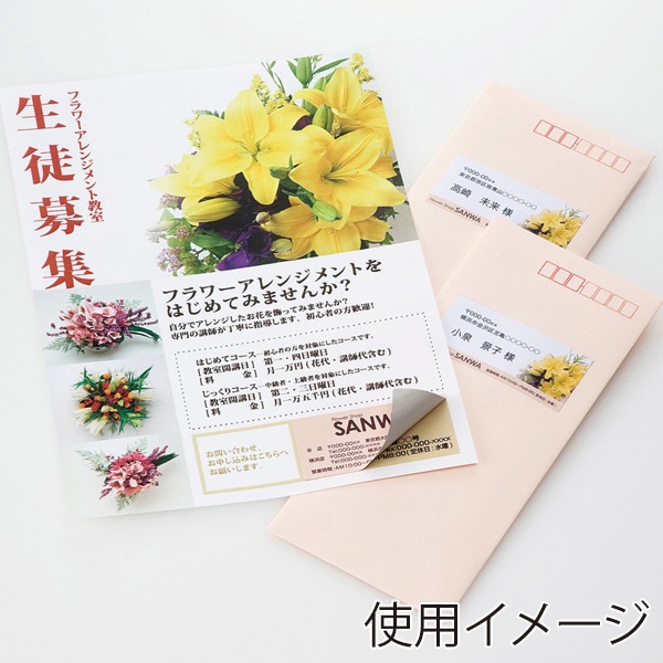 サンワサプライ 透けない宛名ラベル マルチタイプ 名刺サイズ A4 24面 20シート LB-EM27 1個（ご注文単位1個）【直送品】