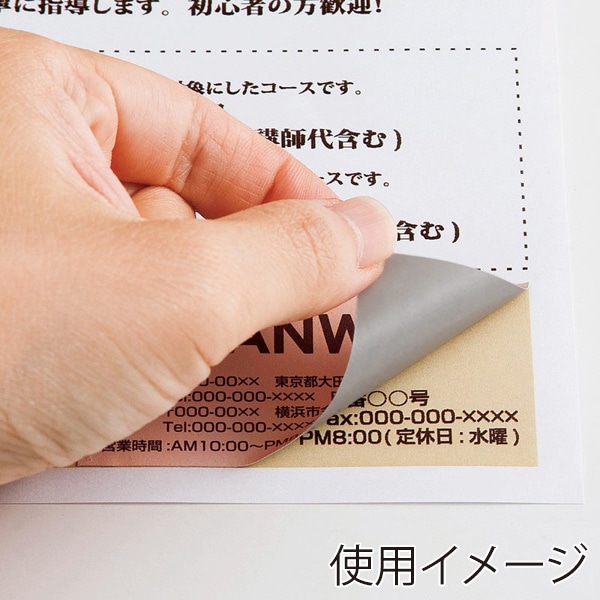 サンワサプライ 透けない宛名ラベル マルチタイプ 名刺サイズ A4 24面 20シート LB-EM27 1個（ご注文単位1個）【直送品】