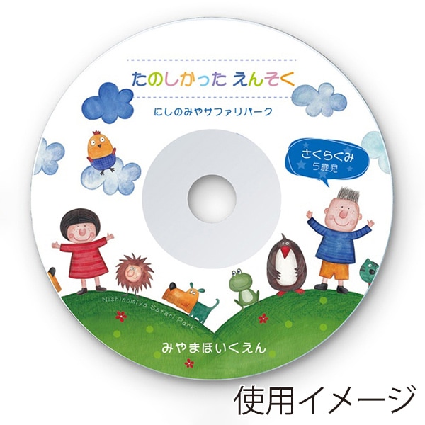 サンワサプライ インクジェット DVD・CDラベル つやなしマット 内径41mm 100シート LB-CDR001N-100 1個（ご注文単位1個）【直送品】