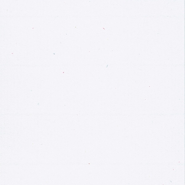 サンワサプライ プリンタ用紙 和紙 マルチタイプ 若芽 しろねり色 A4 10シート JP-MTRT14 1個（ご注文単位1個）【直送品】