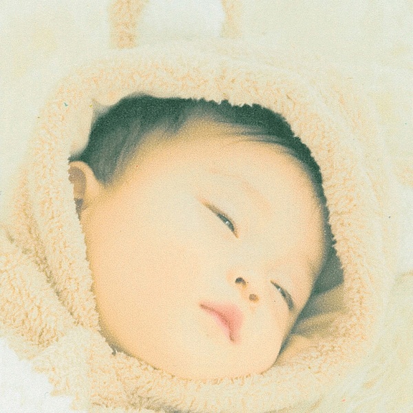 サンワサプライ プリンタ用紙 和紙 マルチタイプ 若芽 しろねり色 A4 10シート JP-MTRT14 1個（ご注文単位1個）【直送品】