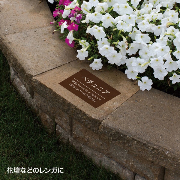 サンワサプライ カラーレーザー 屋外用ラベル ホワイトフィルム コンクリート面対応 A4 10シート LB-ELM07 1冊（ご注文単位1冊）【直送品】