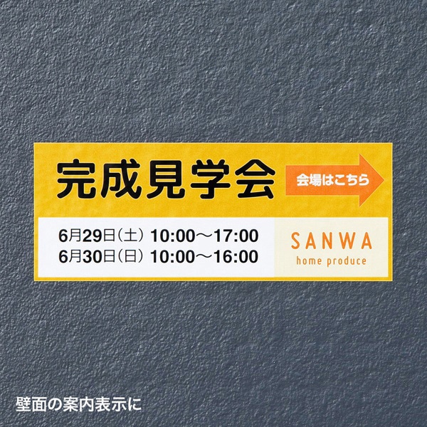 サンワサプライ カラーレーザー 屋外用ラベル ホワイトフィルム コンクリート面対応 A4 10シート LB-ELM07 1冊（ご注文単位1冊）【直送品】