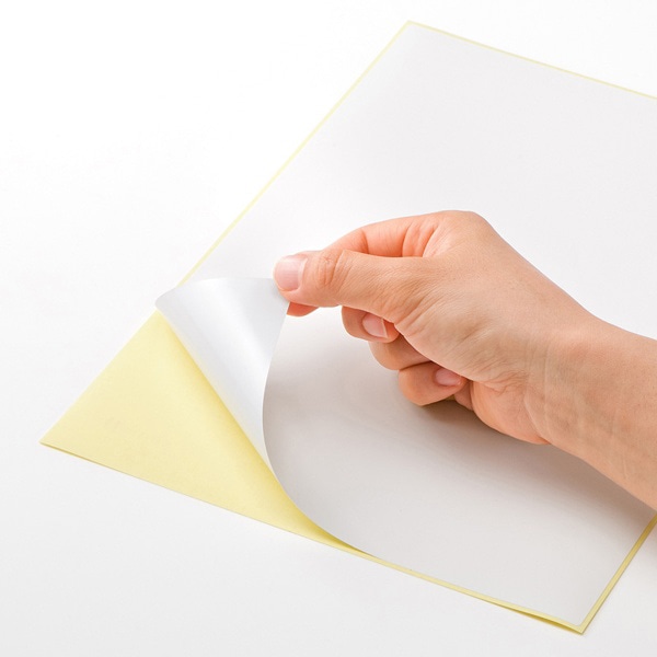 サンワサプライ カラーレーザー 屋外用ラベル ホワイトフィルム 油面対応 A4 10シート LB-ELM08 1冊（ご注文単位1冊）【直送品】