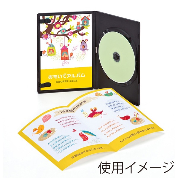 サンワサプライ インクジェットDVDトールケースインデックスカード A4 つやなしマット 10シート JP-DVD7N 1個（ご注文単位1個）【直送品】