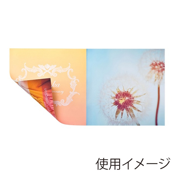 サンワサプライ 2つ折りインデックスカード 薄手・つやなしマット カード20枚分 JP-IND8N 1個（ご注文単位1個）【直送品】