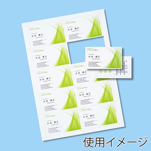 サンワサプライ インクジェット名刺カード 超特厚 A4 20シート 200カード分 JP-MC12N 1個（ご注文単位1個）【直送品】